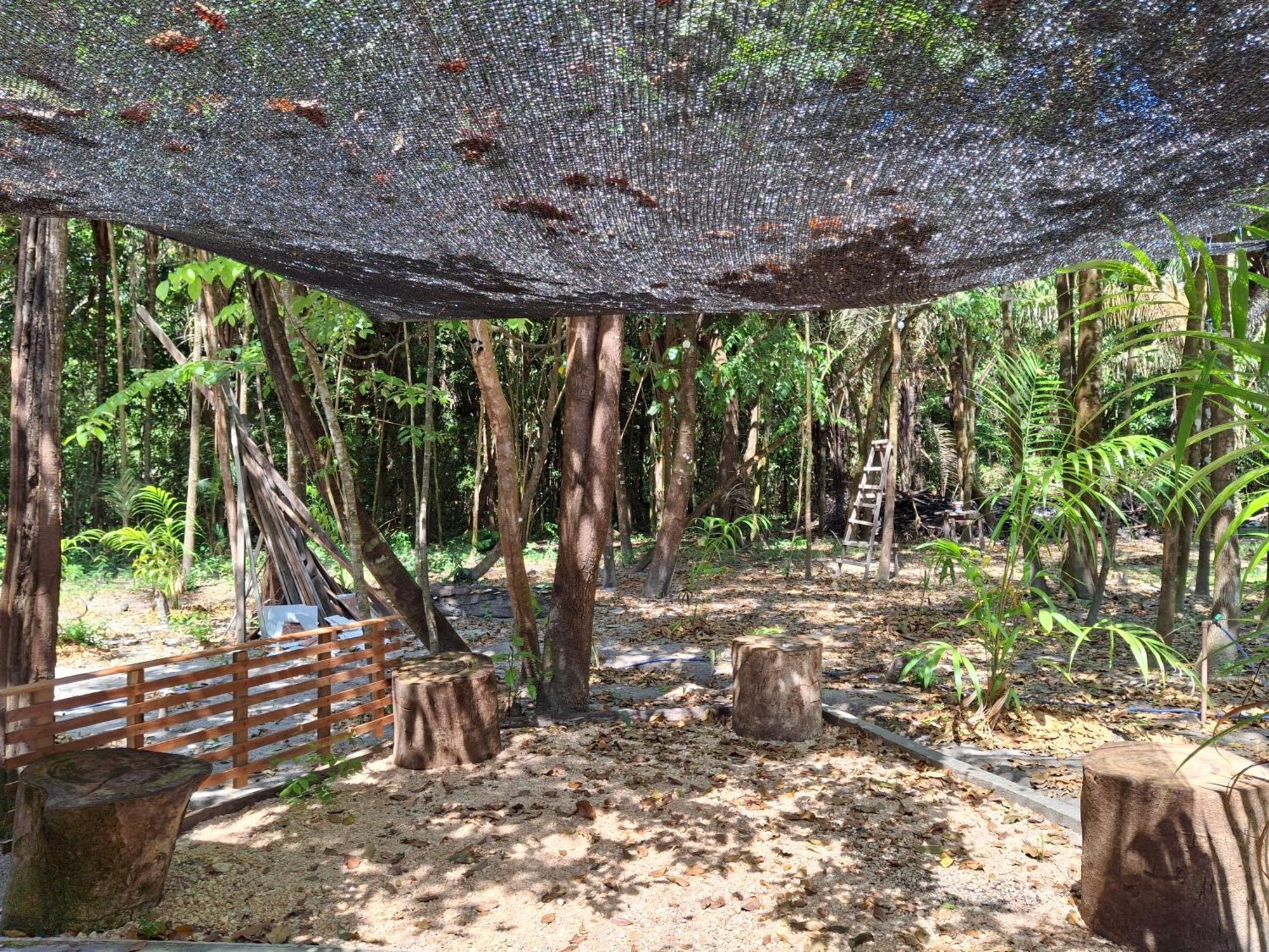 Casa Da Mata Marajo Villa Salvaterra Exteriör bild
